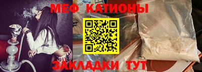 сатива Кингисепп