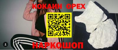 сатива Кингисепп
