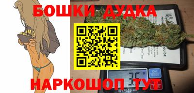 сатива Кингисепп