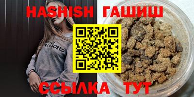 сатива Кингисепп