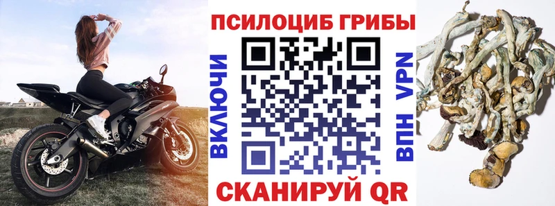 Галлюциногенные грибы Cubensis  mega маркетплейс  Валуйки 