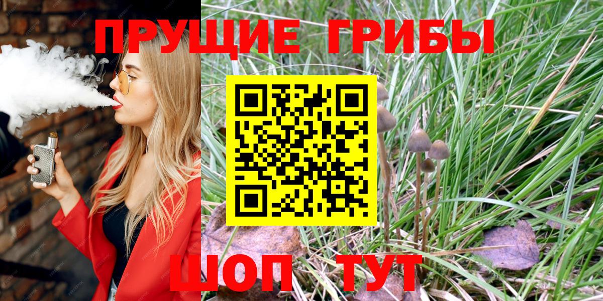 Галлюциногенные грибы Psilocybine cubensis  Вход с VPN  Валуйки 